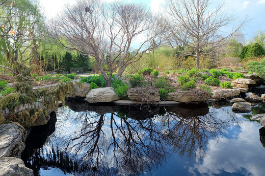 Beautiful pond in a park with the reflection of deciduous trees and the blue sk