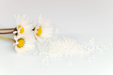 Marguerite, daisy flowers. Alternative medicine concept. Homeopathic pills, globules scattered....