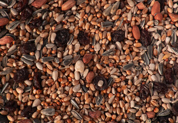 winter bird food mix background with different types of grain and raisins and nuts