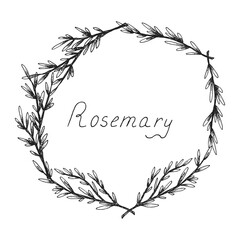 Rosemary. Sprig of plants with leaves. Fragrant Italian seasoning for food. Wreath. Black and white drawing in the old vintage style. Isolated clipart set on white background. Hand-drawn ink sketch.