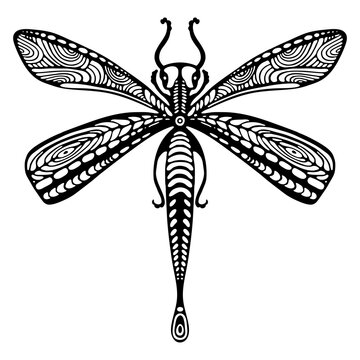 Vector Image of Fantasy Dragonfly for Coloring book Antistress for children and adults. Illustration isolated on white background. Zentangle Outline style, black and white drawing