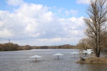 City river in spring flood.