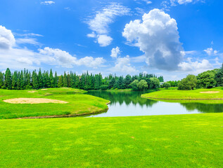 Green grass and trees in spring season.