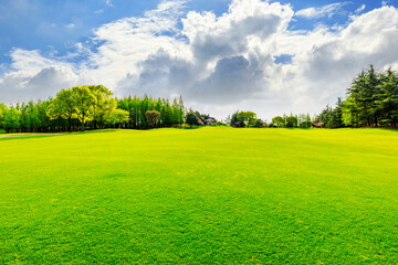 Green grass and forest in spring season.