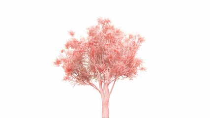 an artistic tree