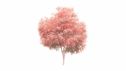 Naklejka premium an artistic tree