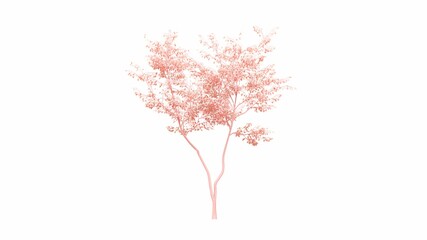 an artistic tree