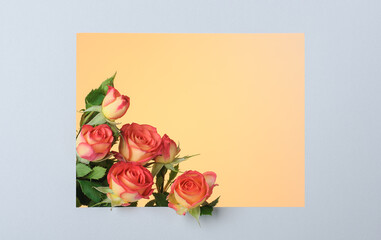 Red-yellow roses in rectangular paper gray frame on yellow background. Trendy greeting mockup. Love or Women's day minimal concept. mothers Day
