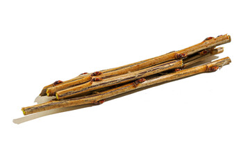 cut currant twigs close-up on a white background