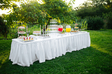 Nature outdoor festive banquet table set catering with appetizers