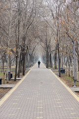 lonely person walking on empty city alley. urban landscape