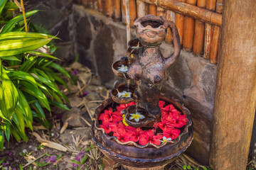 A pattern of flowers in a container with water, spa concept