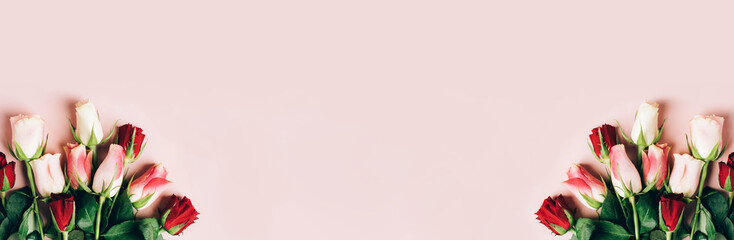 Fototapeta premium Beautiful fresh roses close-up on a pastel pink background. natural background