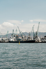 Fototapeta na wymiar Batumi, Georgia - 04.05.2021: Batumi International Container Terminal. Batumi seaport