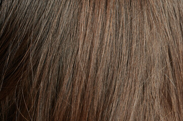 Dark brown straight hair