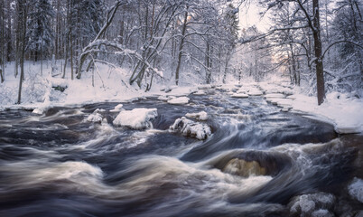 Scenic winter landscape with flowing river and morning light in Finland. Snowy trees. - 426586806