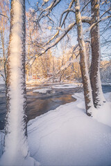 Scenic winter landscape with flowing river and morning light in Finland. Snowy trees. - 426586860