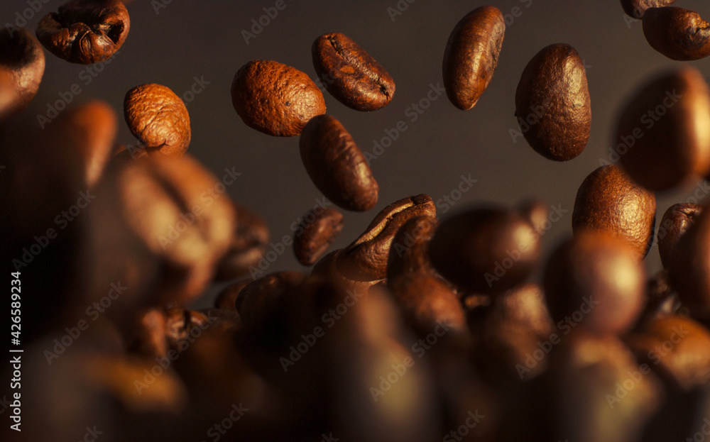 Wall mural close up of coffee beans on dark background