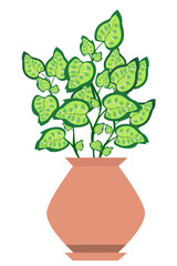 Flower in a pot. Vector. Cartoon. Drawing in a flat style.