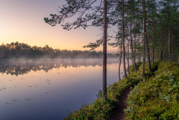 Scenic nature landscape with mood fog and beautiful sunrise at early summer morning in lakeside Finland - 426589418