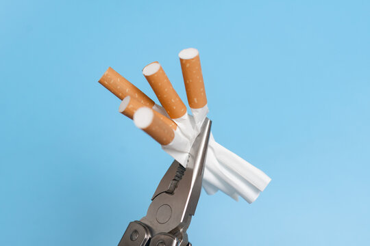 Quit smoking concept. Crumpled cigarettes clamped in pliers on a blue background. Willpower to give up a bad habit.