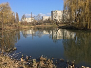 reflections in the water