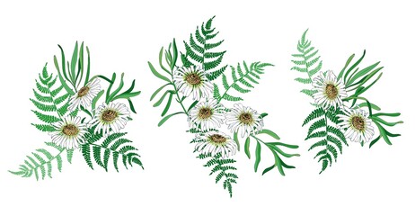 Fototapeta premium Set of compositions of daisies and fern for design