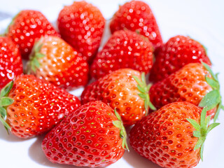 紅ほっぺ（日本の静岡県産のイチゴの品種）