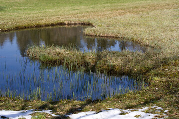 Little pond at turf landscape with reflections of sky and trees. Photo taken April 8th, 2021, Hinwil, Switzerland.