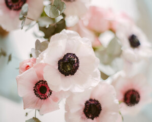 selective focus. white poppies bouquet