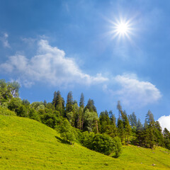 Fototapeta na wymiar green mountain slope with forest under a sparkle sun