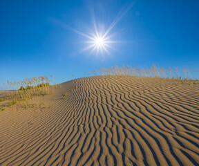 sandy dune under a sparkle sun, natural sandy desert background