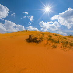 Fototapeta na wymiar sandy desert under a cloudy sky, natural outdoor scene