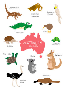 Animals set Australia. Kangaroo, koala, crocodile, platypus, ostrich, echidna, moloch, kiwi, turtle