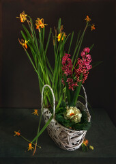 Flower arrangement of daffodils, hyacinths and primroses in a wicker basket. Vintage.