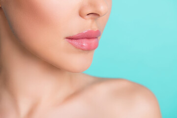 Cropped photo of young charming lovely stunning woman with nude lipstick botox injection isolated...