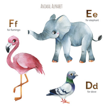 Cute Animal Alphabet.Learn letters with funny animals.DEF.Perfect for education, baby shower, children prints or room decor, template cards, books and much more	