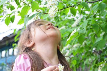 Spring portrait of a girl in flowering almond trees. A girl looks at a blooming tree branch