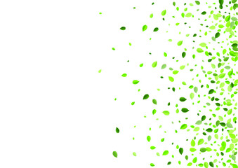 Swamp Foliage Realistic Vector Design. Swirl Leaf Wallpaper. Olive Greens Forest Illustration. Leaves Motion Border.