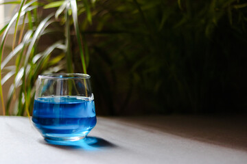 Glass with curacao liquor with palm trees on the background 