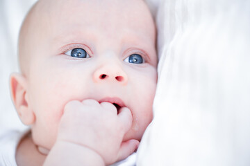 portrait of infant newborn baby with blue eyes putting fingers in mouth on white sheets background macro view