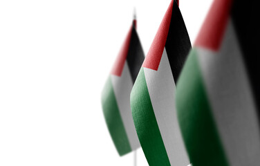 Small national flags of the Palestine on a white background