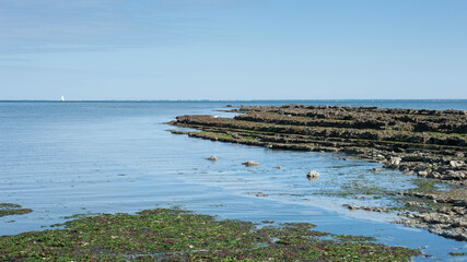 Estran &agrave; la pointe de l'&icirc;le d'Ol&eacute;ron