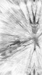  White Bleach Dye. Dyed Stripe Silk Illustration.