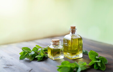 Fresh mint, lavender leaves and bottles of essential oil for aromatherapy, alternate medicine and...