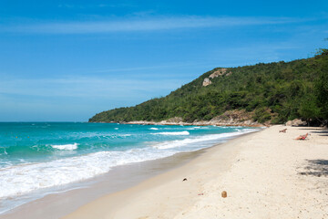 Fototapeta premium the tropical sandy beach with blue wave and clear sky in summer time