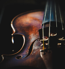 close up of a violin - obrazy, fototapety, plakaty