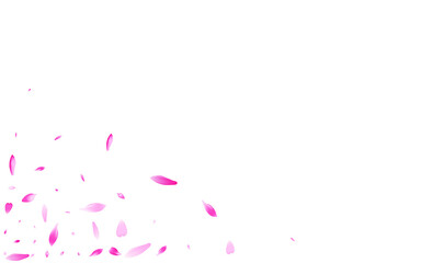 Purple Lotus Petal Vector White Background. White Spring Cherry Petal Illustration. Sakura Petal Romantic Banner. Fall Rose Petal Congratulation.
