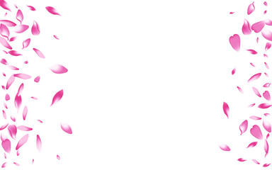 Pastel Cherry Petal Vector White Background. Pink 3d Lotus Petal Texture. Rose Petal Floor Card. Dream Apple Petal Cover.