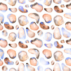 sea shells background